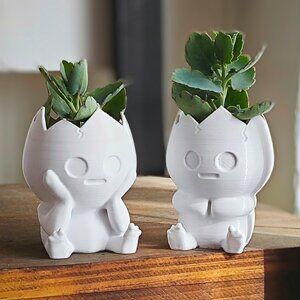 Cute Cracked Egg Planter Kawaii Character Succulent Pot, Mini Indoor Plant pot